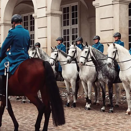 Huge Modern & 2br Loft *