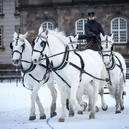 Huge Modern & 2br Loft Apartamento Copenhague