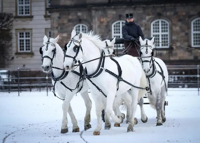 Huge Modern & 2br Loft Apartment Copenhagen